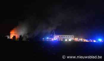 Tweede brand in week tijd in palettenbedrijf in Meulebeke: loods in lichterlaaie