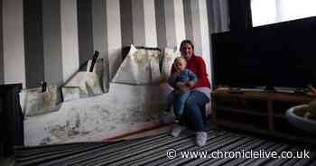 'I'm scared my son will eat fungus': Inside Newcastle horror home which left mum-of-three in tears