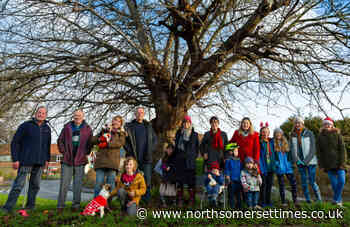 Council gives beloved strawberries and cream tree protected status