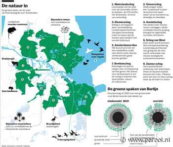 Groene ‘scheggen’ in gevaar door bouwwoede
