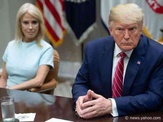 Kellyanne Conway says Trump is fond of former Epstein lawyer Alan Derschowitz amid rumours he may join impeachment team