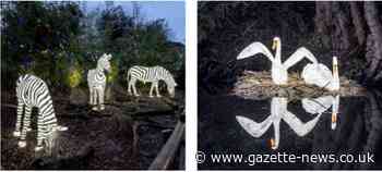 Colchester Zoo sets up Christmas illuminations