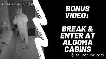 Break In to Algoma Cabins