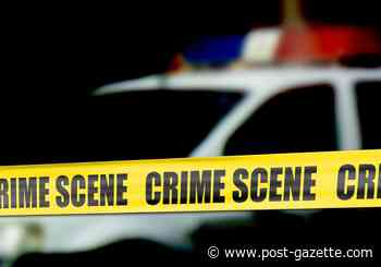 Cash and liquor seized from 'illegal speakeasy'