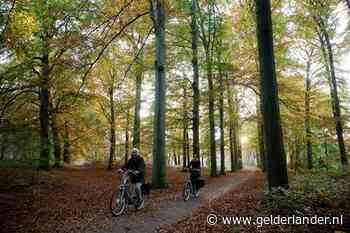 Echt winterweer blijft uit: dinsdag kan het zelfs 15 graden worden