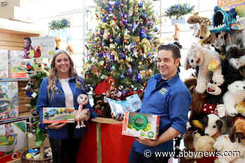 VIDEO: These are the top toys this Christmas, B.C. toy experts say