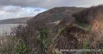 Coastal path closed and people urged to stay away after section falls away