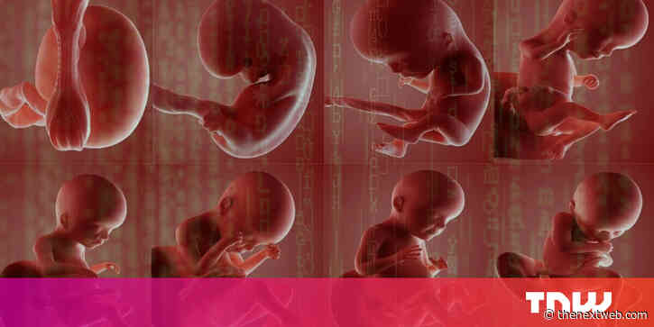 What AI analysis of placentas can teach us about childbirth and health
