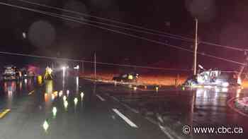 Port Colborne woman dies after being thrown from taxi, say OPP