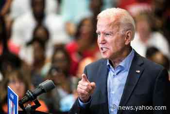 Joe Biden told a protestor at his Texas campaign rally that he's 'just like Donald Trump' for asking about corruption in Ukraine