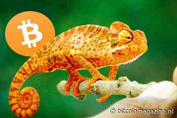 Grayscale: ‘Bitcoin (BTC) ook populair bij vrouwelijke investeerders’