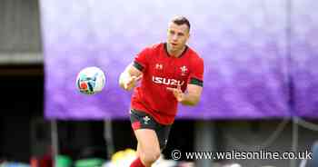 Scarlets v Bayonne Live: Latest score updates from European Challenge Cup clash in Llanelli