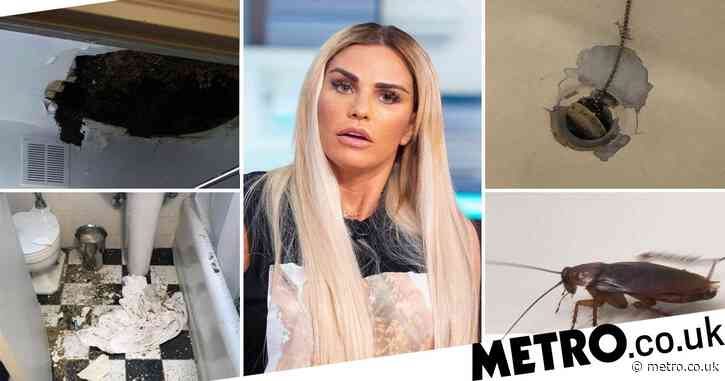 Inside Katie Price’s New York hotel as guests complain of ‘cockroach infestation and mould’