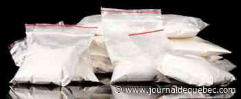 Les douaniers américains saisissent plus 166 kg de cocaïne