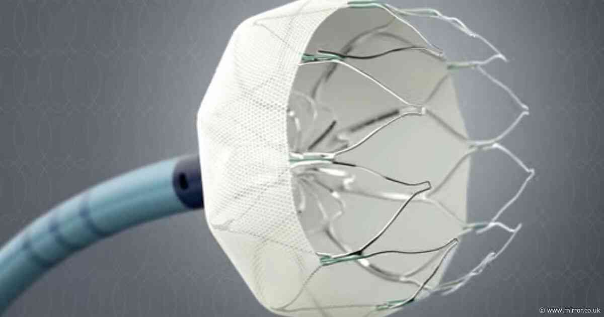 New heart implant which cuts stroke risk by 70% has now been launched in UK
