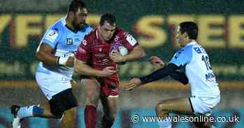 Scarlets 46-5 Bayonne: Bonus point victory closes gap on group leaders Toulon in Challenge Cup