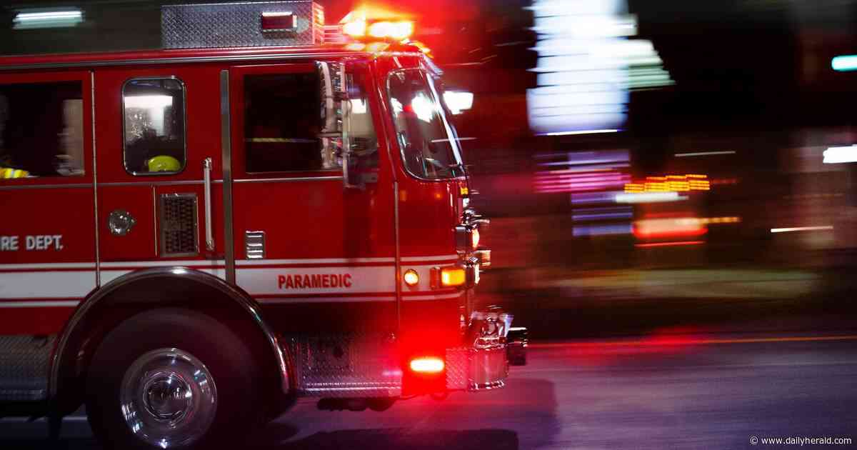 Woman killed on I-294 trying to cross from disabled vehicle to family's car