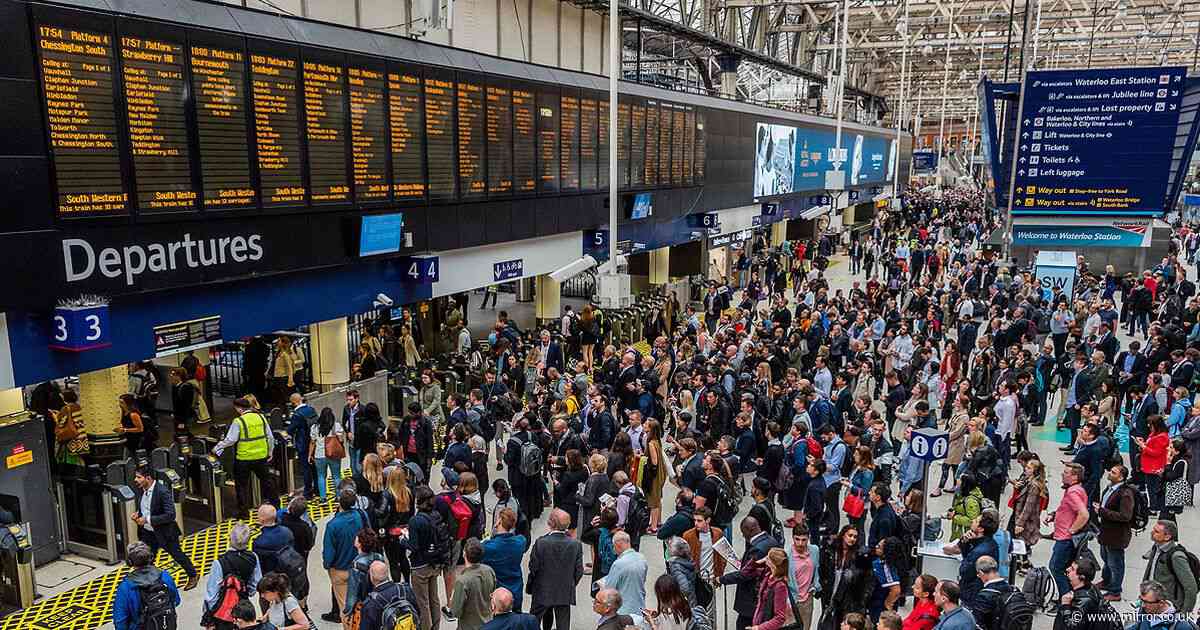 Frantic Friday: Travel chaos predicted with 18 million cars on roads before Christmas