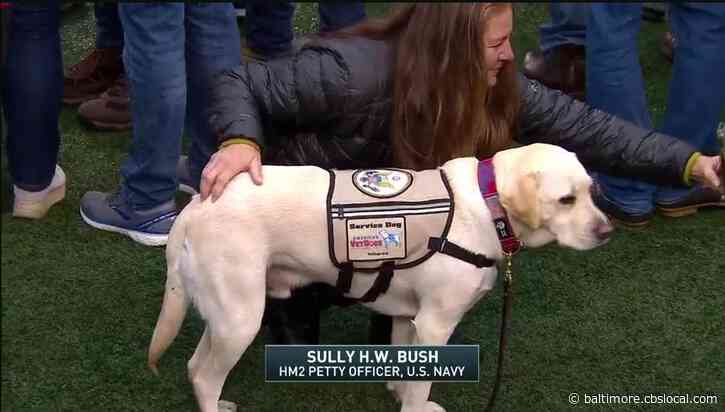 Sully H.W. Bush Attends Army-Navy Game