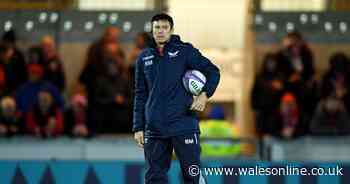 Scarlets coach Brad Mooar speaks for first time on being linked with New Zealand All Blacks role