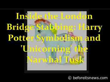 Inside the London Bridge Stabbing Attack: Harry Potter Symbolism and the Narwhal ‘Unicorning’ Tusk