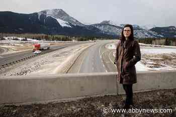 VIDEO: Success of wildlife corridors in Banff National Park has advocates wanting more