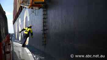 Meet the people of the port, who scale ships the size of buildings