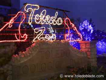 Toledo Zoo holiday lights again ranked 2nd best in national poll
