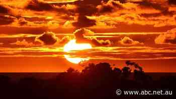 Health alert issued ahead of extreme heatwave in SA, NSW and Victoria