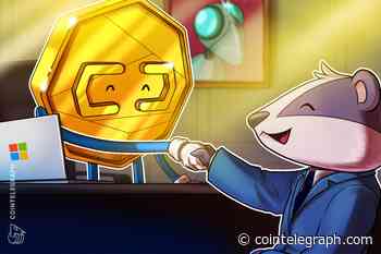 Microsoft Revives Nonfungible Tokens, Sparks Industry's Imagination