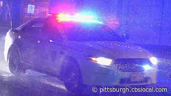 SWAT Team Surrounds Home In Rochester Borough