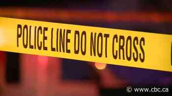 Pedestrian killed in Surrey after being struck by vehicle on Scott Road