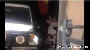 McDonald's franchisee removed after video shows him berating Aboriginal neighbour