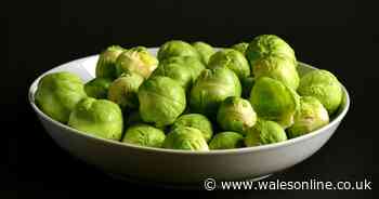 Six ways Brussels Sprouts are good for you