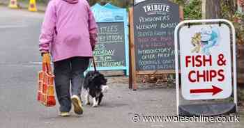 The picturesque Cornish mining village where 'everybody wants to live'