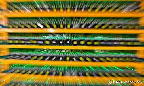 Investors who lost $190m demand exhumation of cryptocurrency mogul