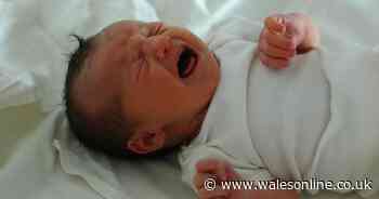 Babies wailing and people gossiping in the street could soon be classed as antisocial behaviour