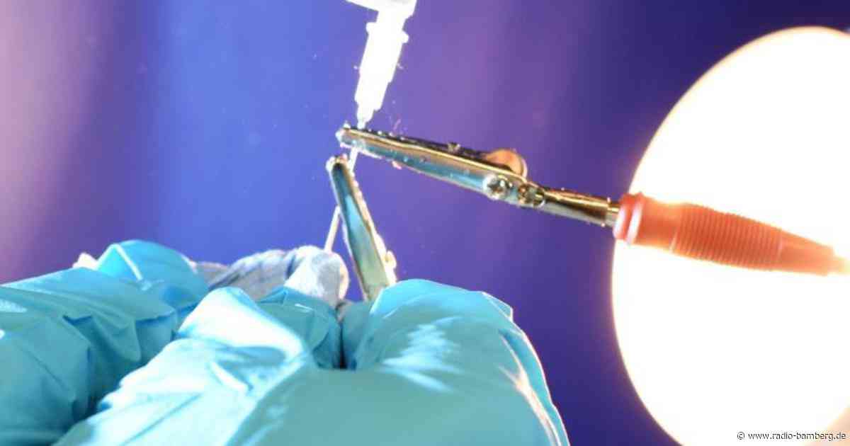 Internationales Forscherteam entwickelt Superfaser