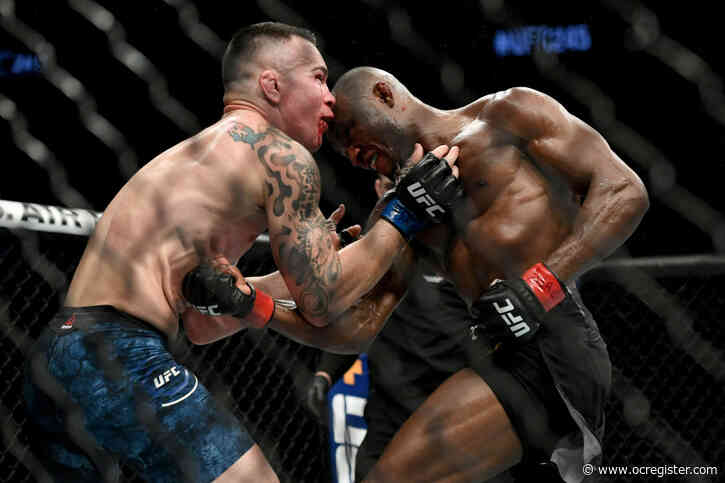 Photos: UFC 245 in photos