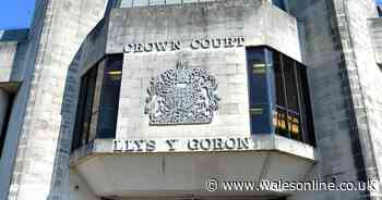 Husband viewed child abuse photos and extreme animal porn while wife was working nights