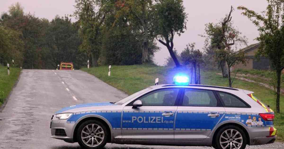 Ausgebüxter Bulle sorgt für Blechschäden und Verletzung