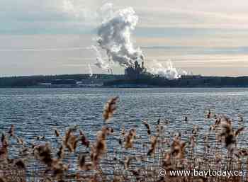 Nova Scotia communities await decision on contentious pulp mill pipeline proposal