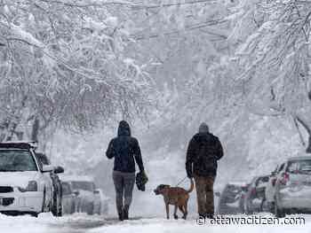After Saturday's (incessant) rains, we've flipped the switch back over to winter