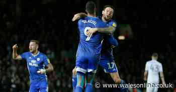 How Cardiff City star was symbolic of Bluebirds spirit in Leeds United thriller