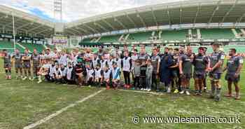 Welsh region call for action over 'unfair' lack of TMOs in European Challenge Cup matches