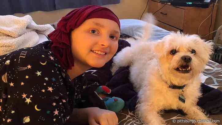 This 14-Year-Old Beat Stage 4 Cancer, Just In Time To Make It Home For Christmas