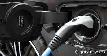 Electric vehicle sales plummet in Ontario after rebate cancellation