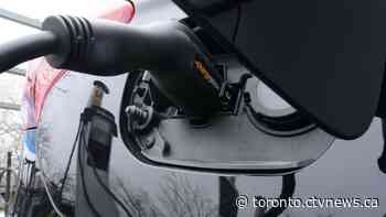 Sales of electric vehicles fall in Ontario after rebate cancellation
