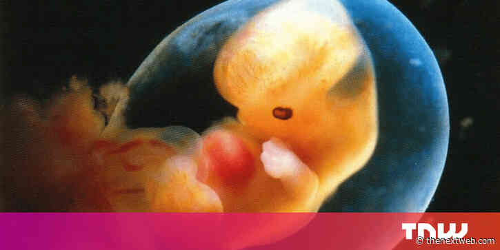 China’s failed ‘baby gene’ experiment proves we’re not ready to edit human embryos