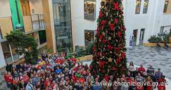 Christmas Jumper Day raises thousands which will change the lives of disabled North East children